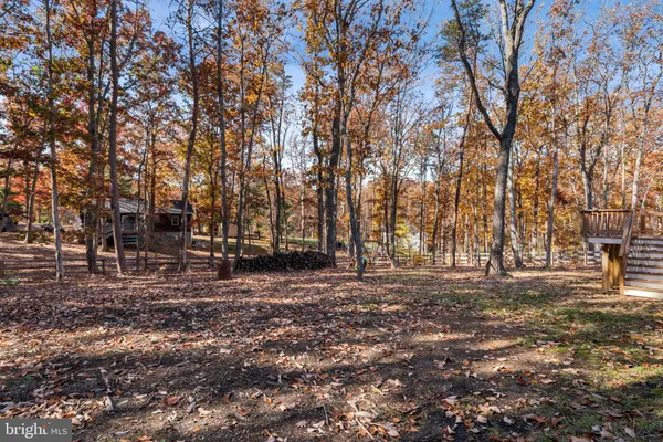 a view of outdoor space with lots of trees