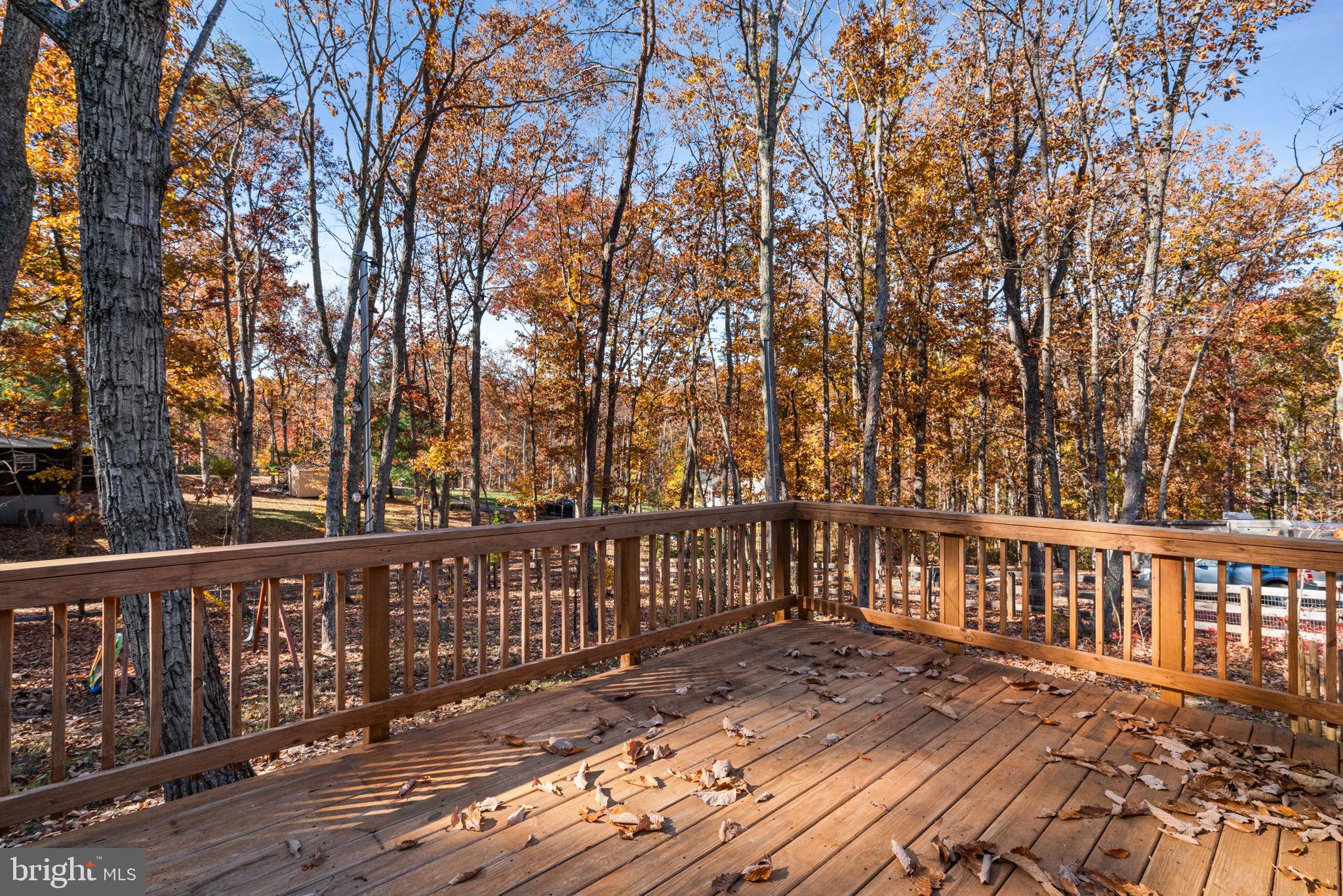 55 Cedar Circle Mineral, VA 23117 - Photo 37 of 44 a view of wooden deck