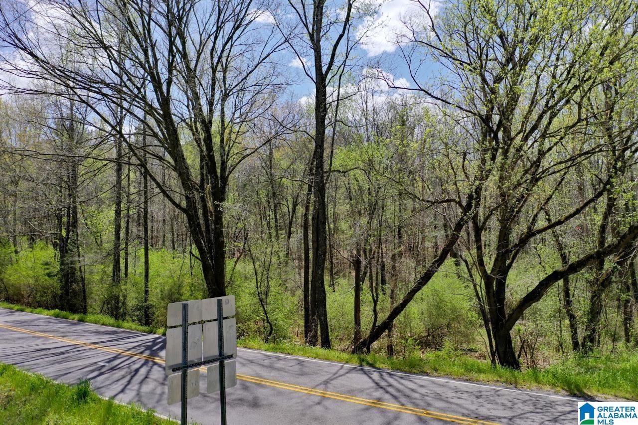 0 County Road 15 Locust Fork, AL 35097 - Photo 12 of 14
