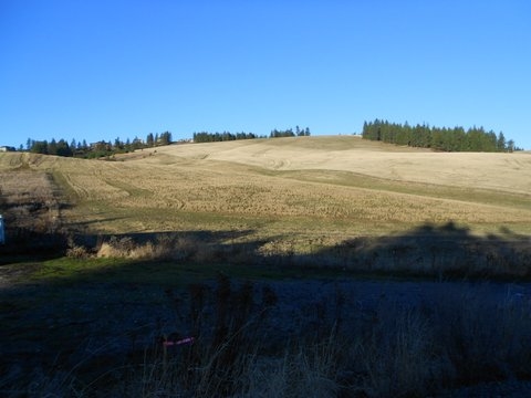 16417 North Dalton Road Spokane, WA 99208 - Photo 7 of 10