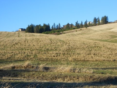 16417 North Dalton Road Spokane, WA 99208 - Photo 10 of 10