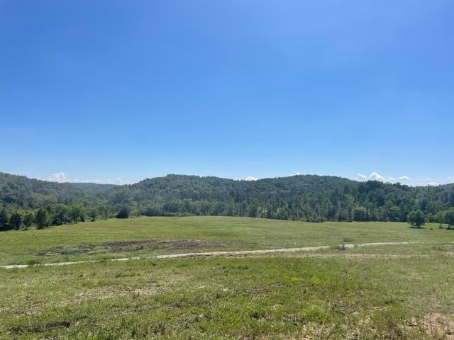 2 Dogtown Road Ten Mile, TN 37880 - Photo 31 of 33 Gallery Image 31