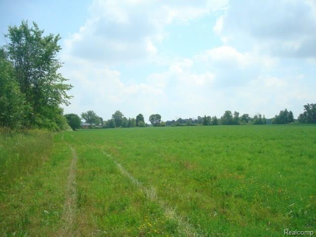 0 Wheeling Road Imlay City, MI 48444 - Photo 12 of 14