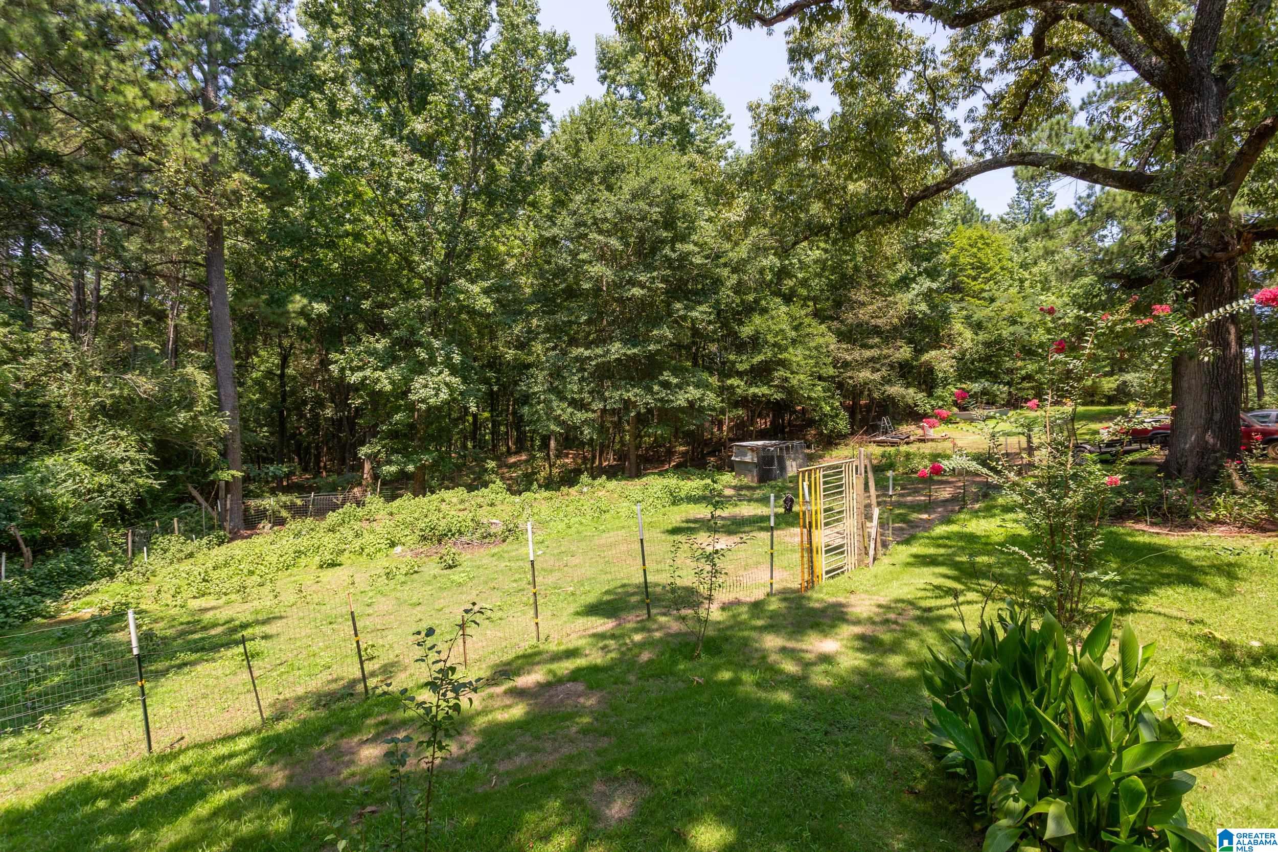 121 Wattsville Drive Ragland, AL 35131 - Photo 32 of 38
