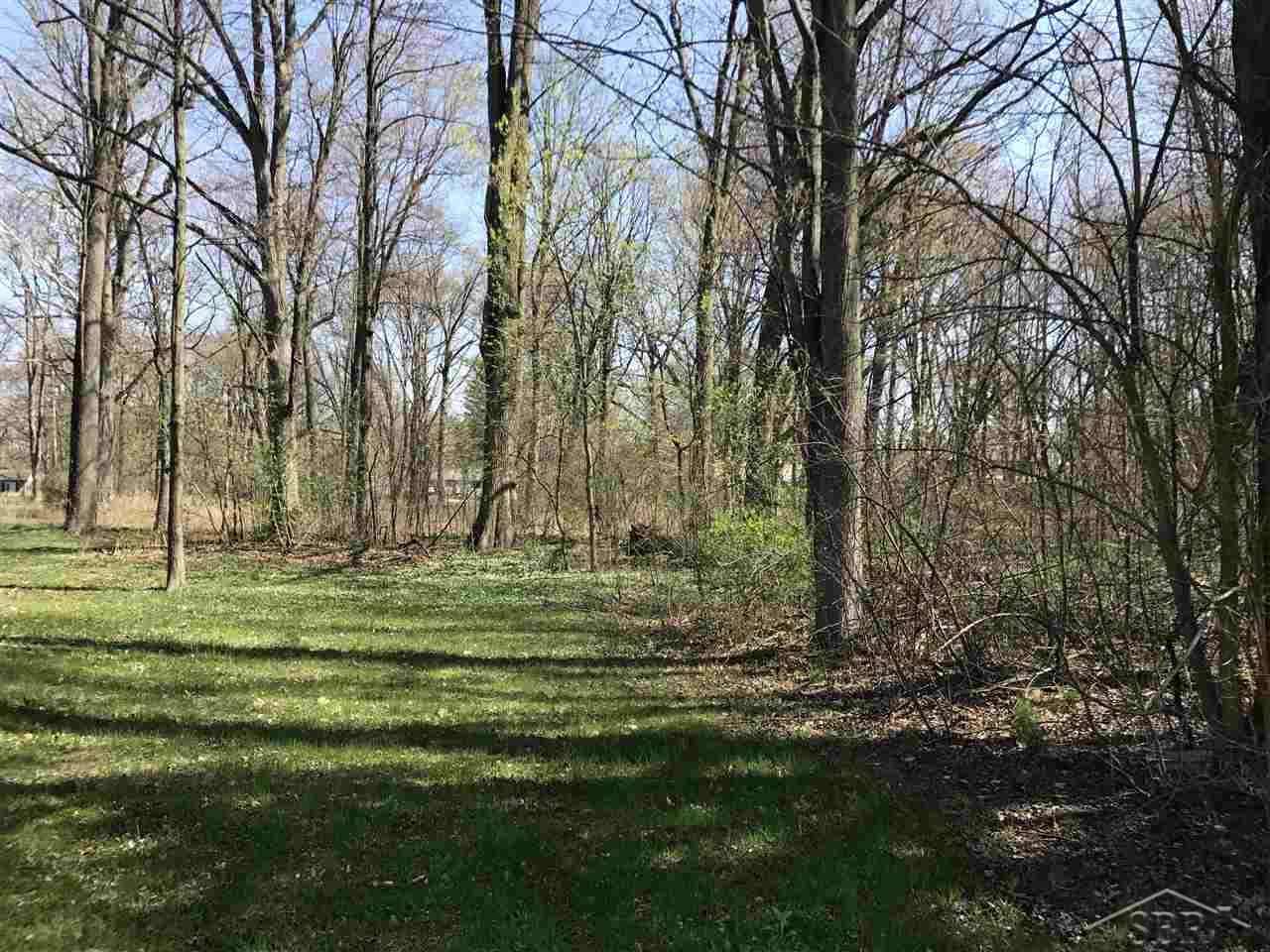 4045 Williamson Road Bridgeport, MI 48601 - Photo 24 of 29