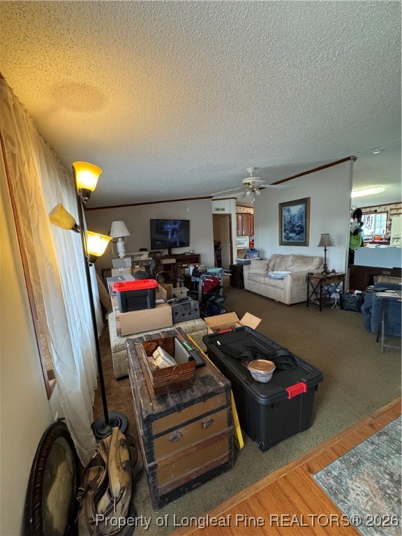 5934 Shiloah Church Road Fayetteville, NC 28306 - Photo 4 of 19