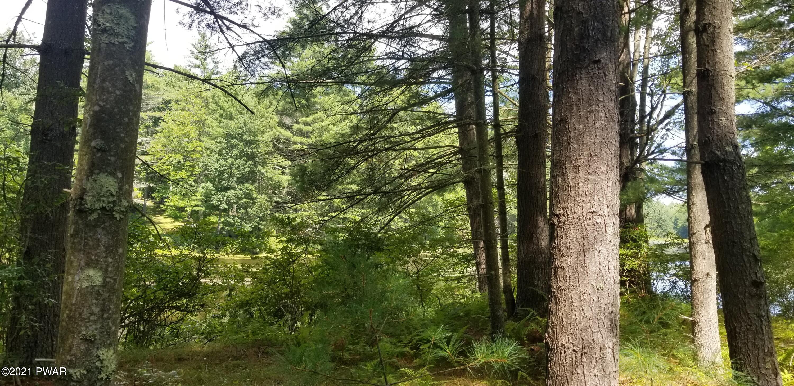 Lot # Swamp Pond Road Narrowsburg, NY 12764 - Photo 5 of 11