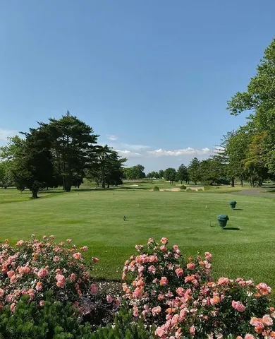 a yard with lots of flowers and trees