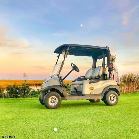 a view of a backyard with a garden and entertaining space