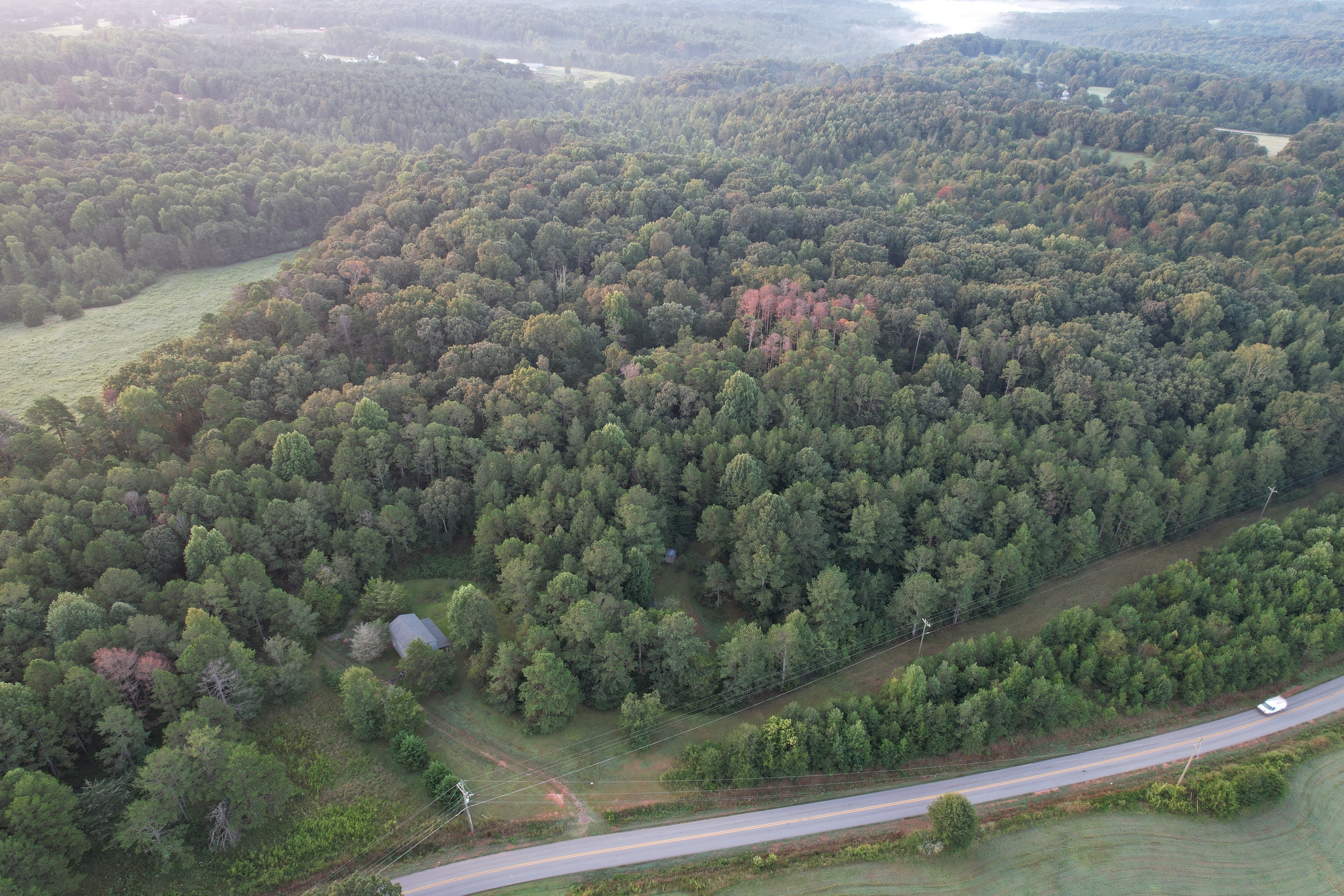 362 Avalon Road Martin, GA 30557 - Photo 1 of 1 a view of a forest from a window