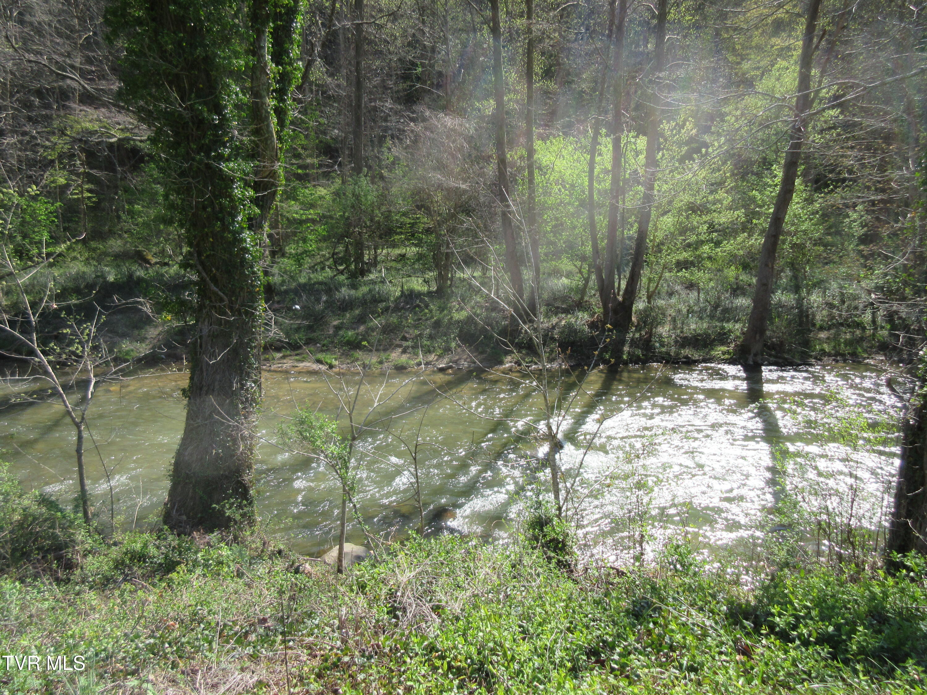 9222 Roan Creek Road Butler, TN 37640 - Photo 13 of 25 IMG_0477