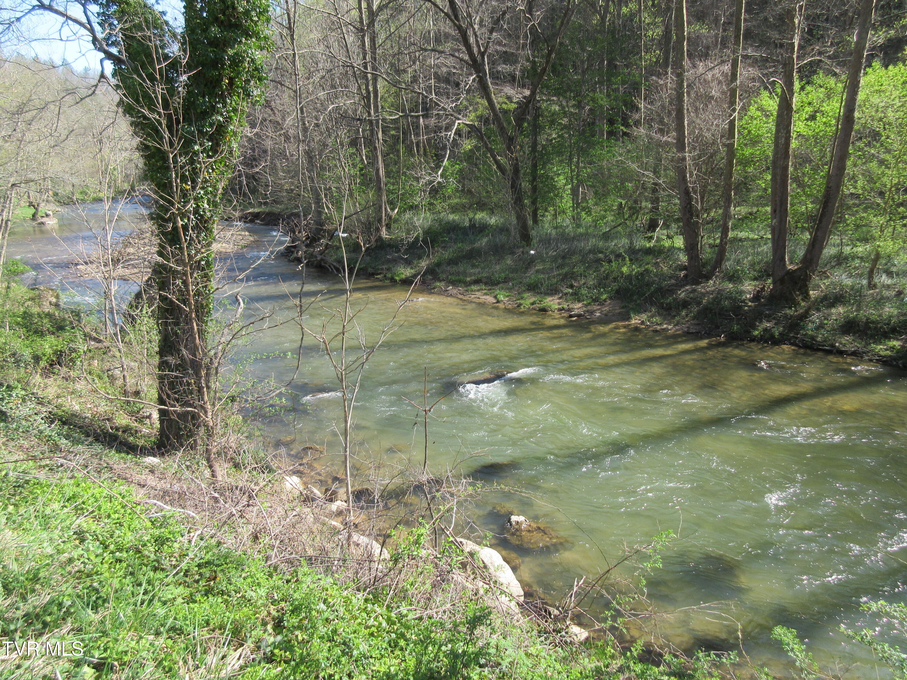 9222 Roan Creek Road Butler, TN 37640 - Photo 15 of 25 IMG_0479