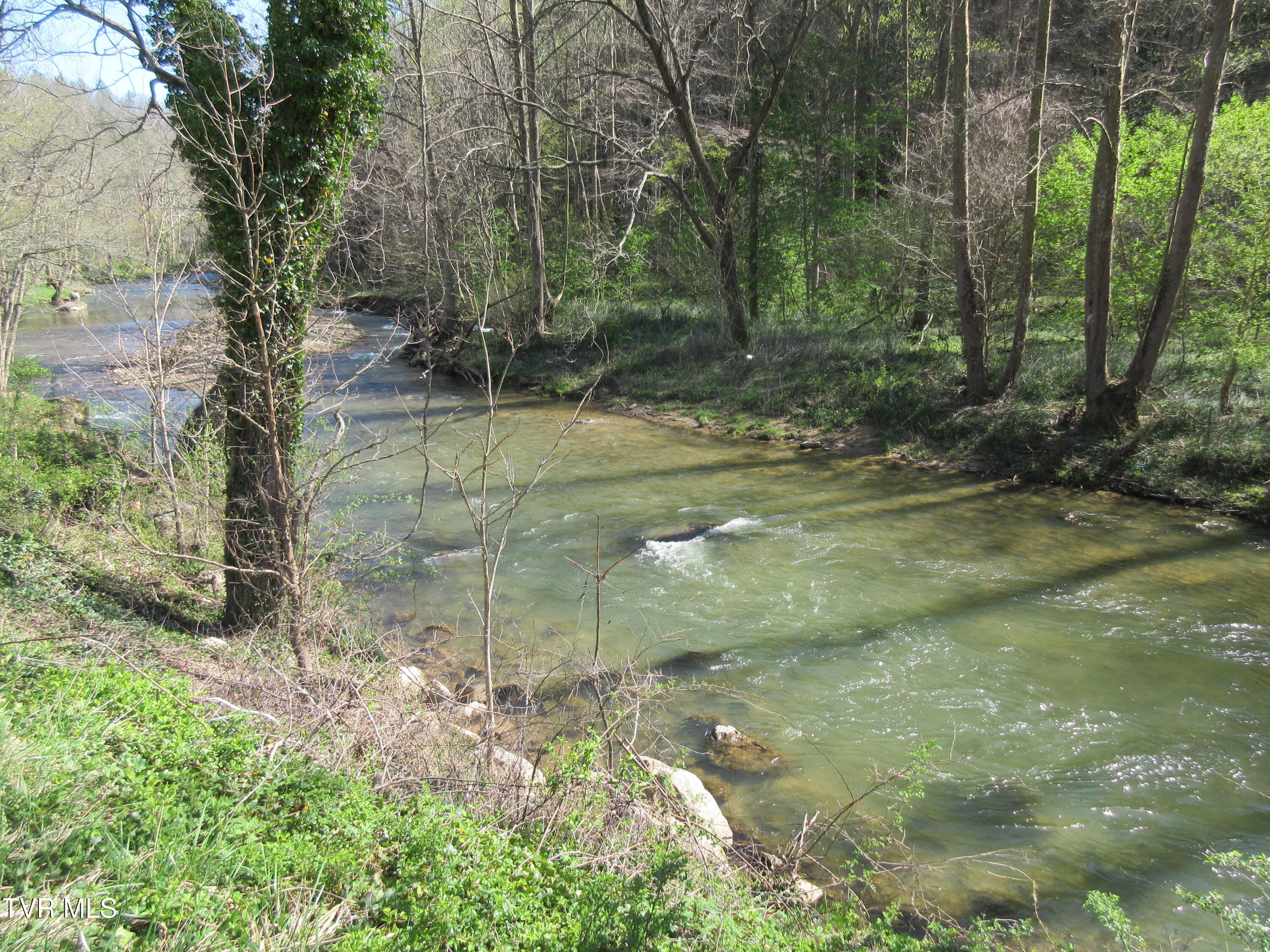 9222 Roan Creek Road Butler, TN 37640 - Photo 16 of 25 IMG_0480