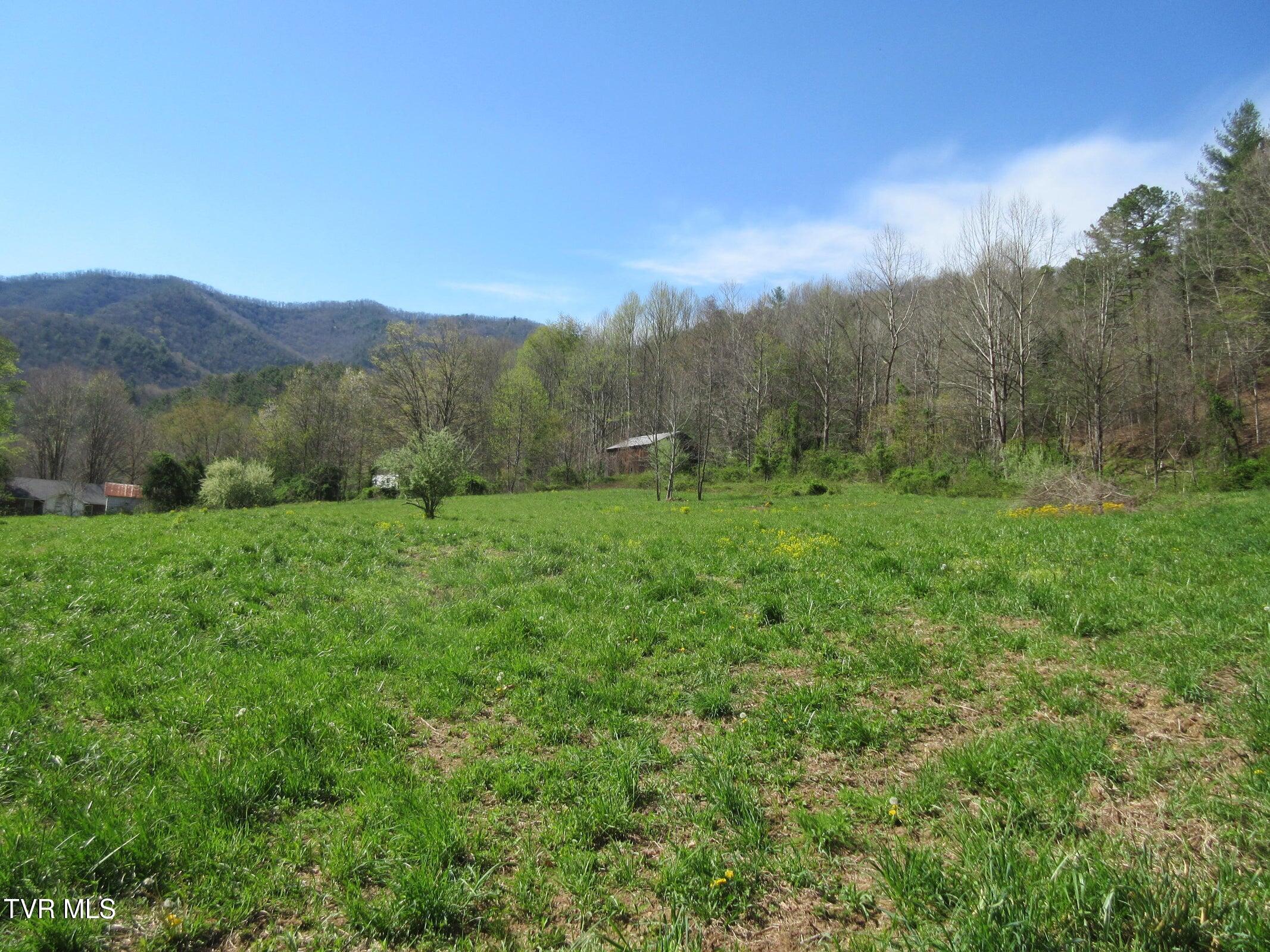 9222 Roan Creek Road Butler, TN 37640 - Photo 2 of 25 barnmtnpastureroadviews-5