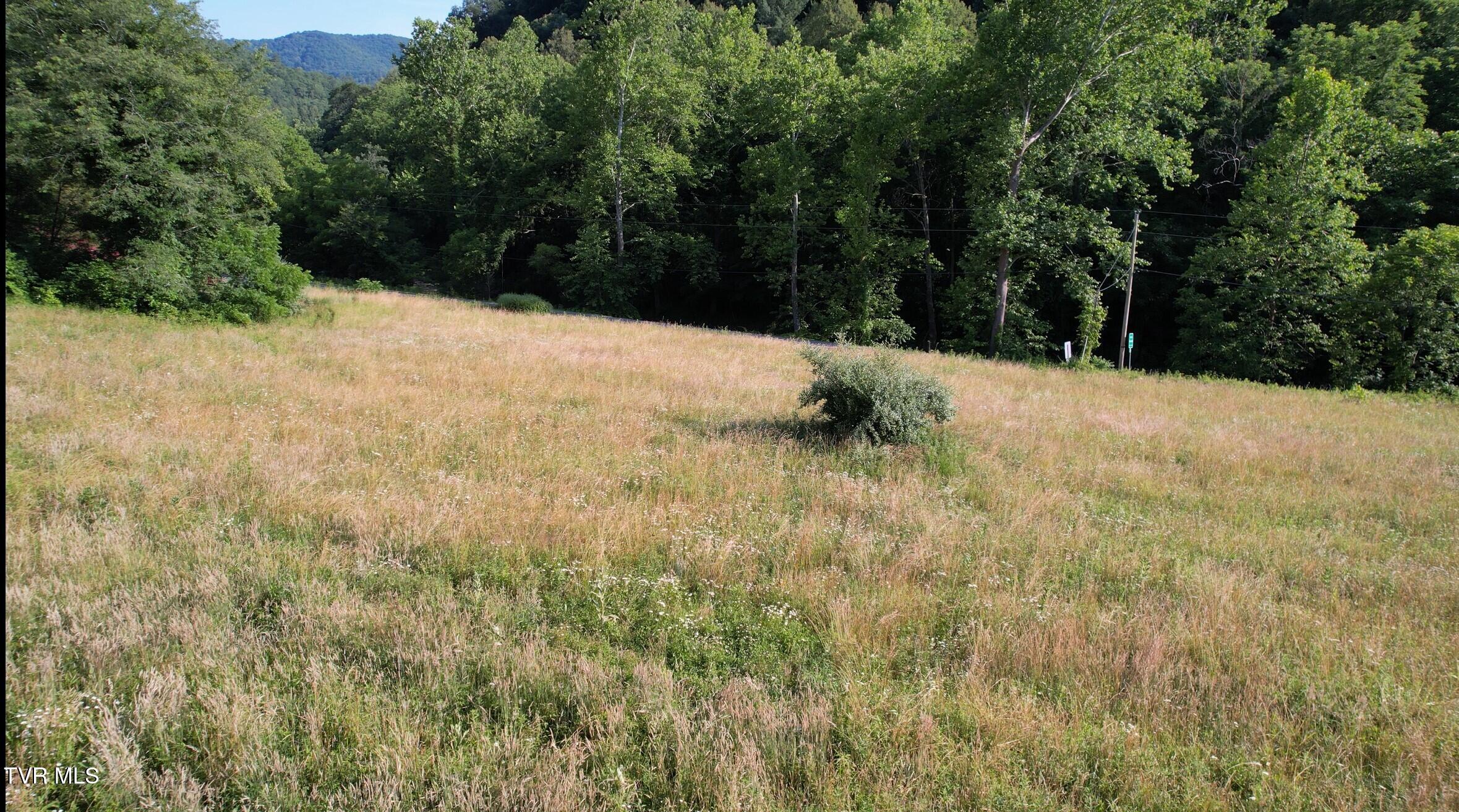 9222 Roan Creek Road Butler, TN 37640 - Photo 23 of 25 PastureMountainbarnview