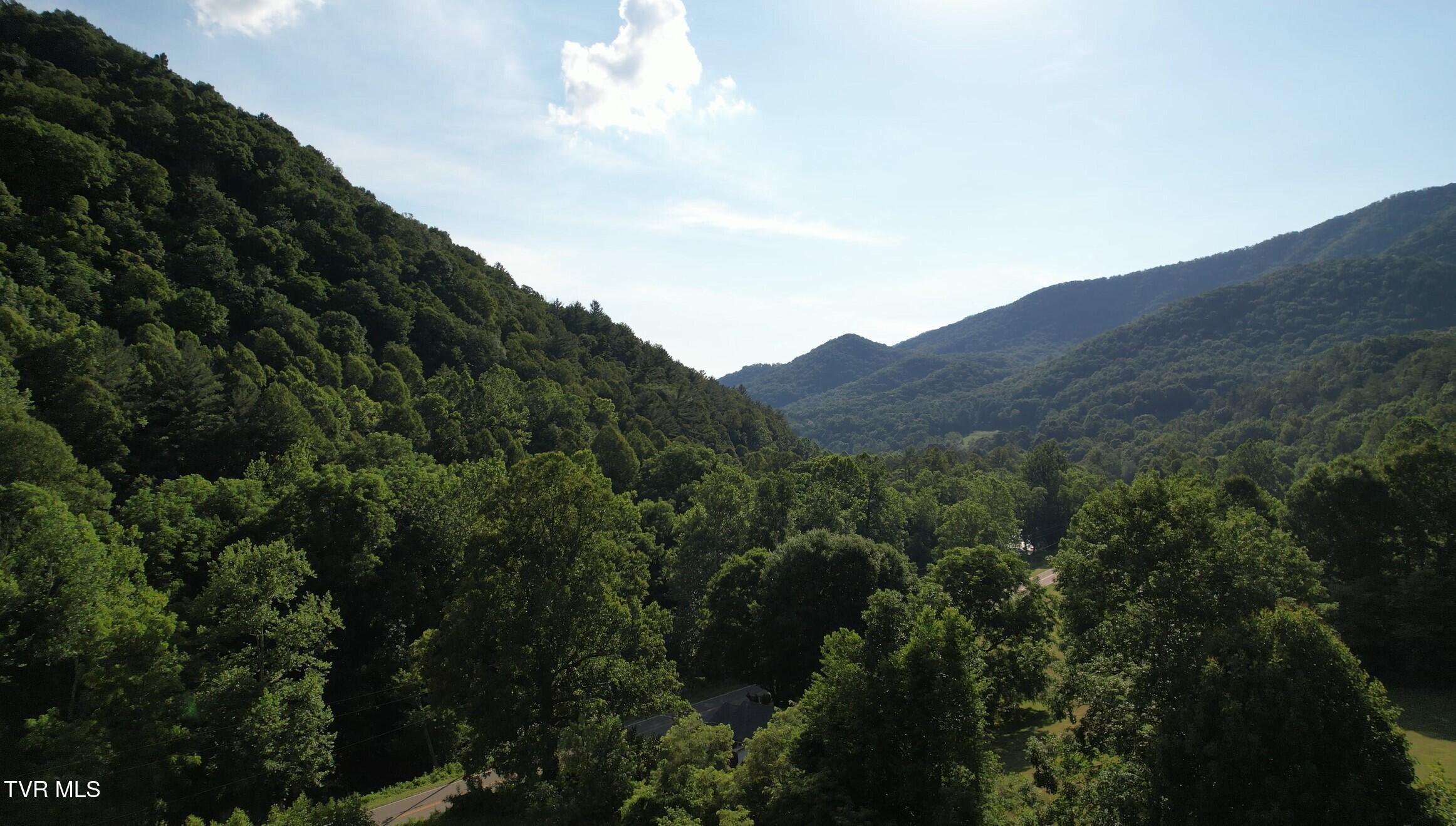9222 Roan Creek Road Butler, TN 37640 - Photo 24 of 25 PastureRoadMtnviews