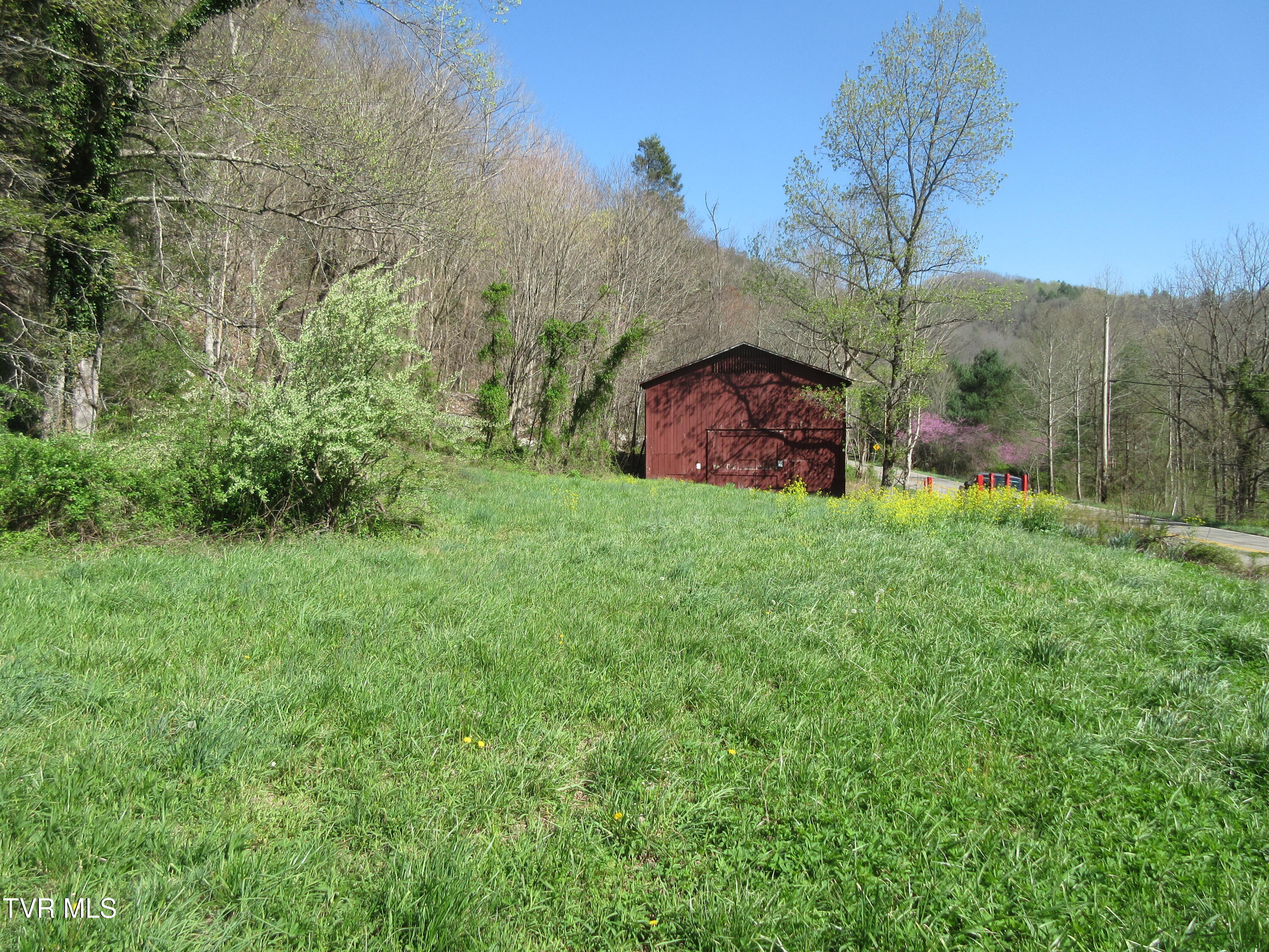 9222 Roan Creek Road Butler, TN 37640 - Photo 5 of 25 IMG_0469