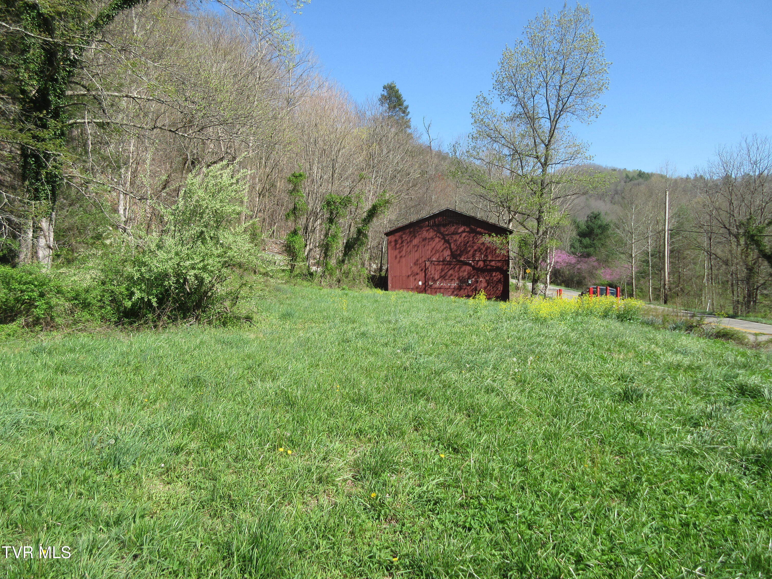 9222 Roan Creek Road Butler, TN 37640 - Photo 6 of 25 IMG_0470
