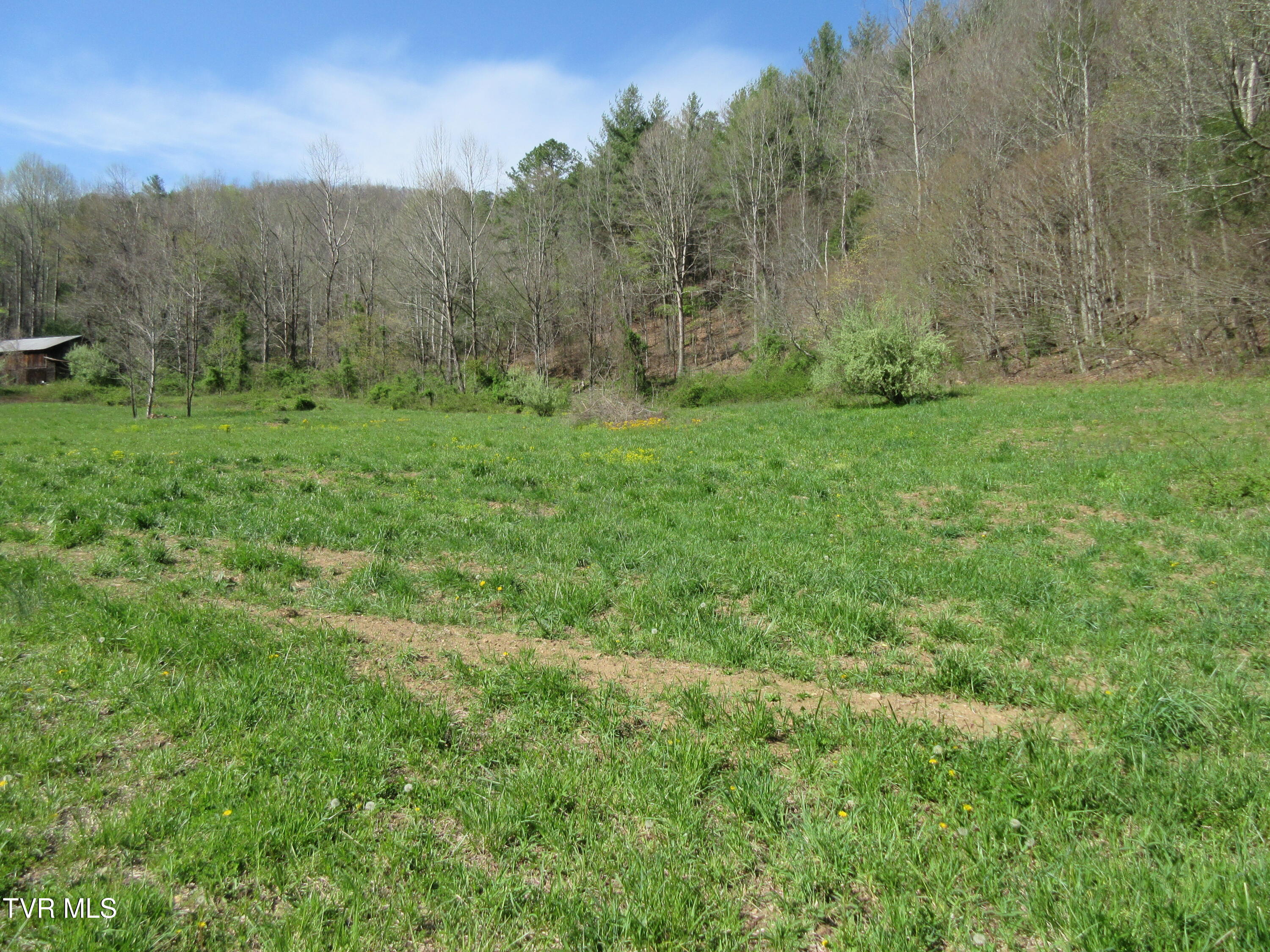 9222 Roan Creek Road Butler, TN 37640 - Photo 7 of 25 IMG_0471