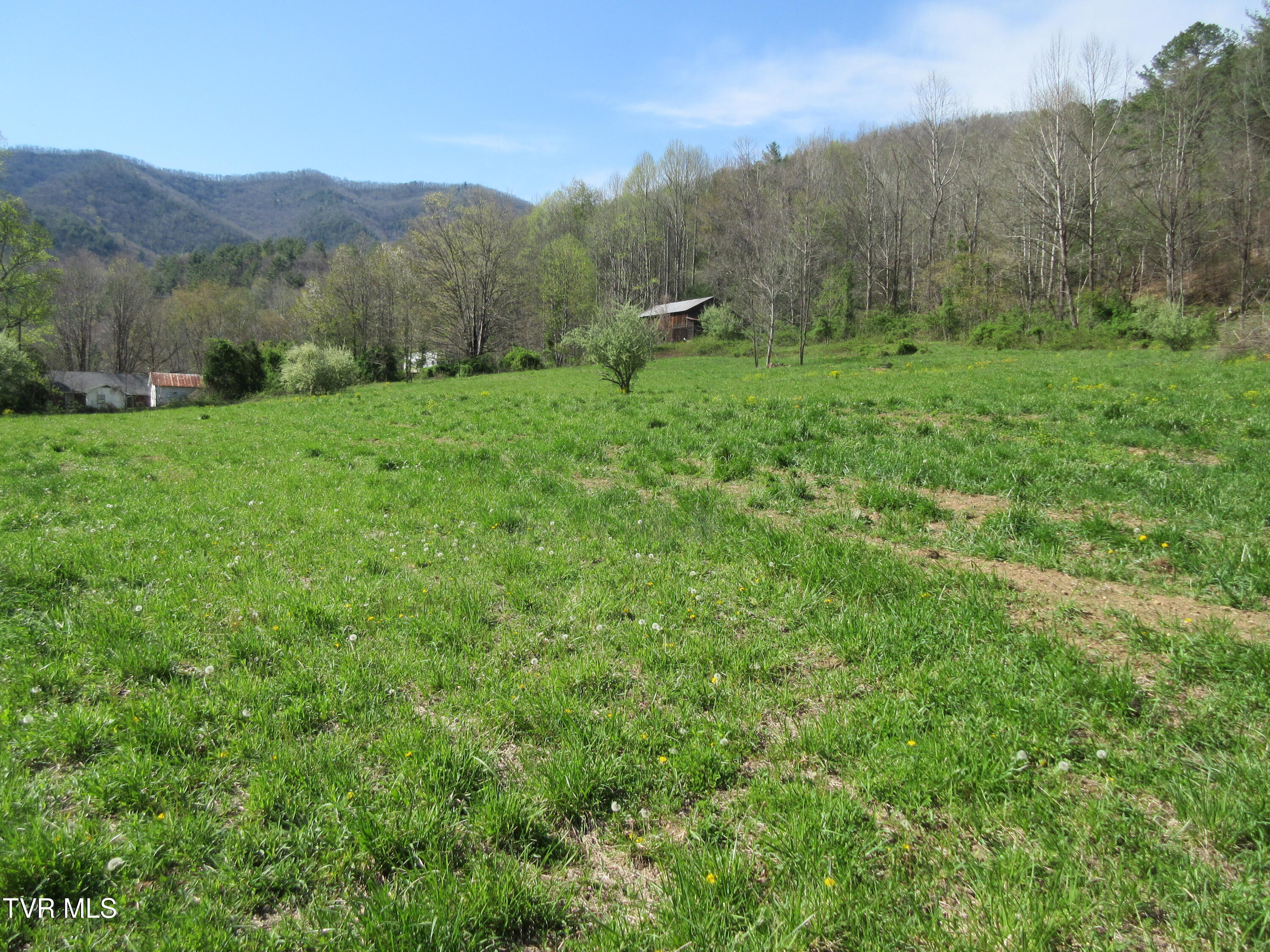 9222 Roan Creek Road Butler, TN 37640 - Photo 8 of 25 IMG_0472