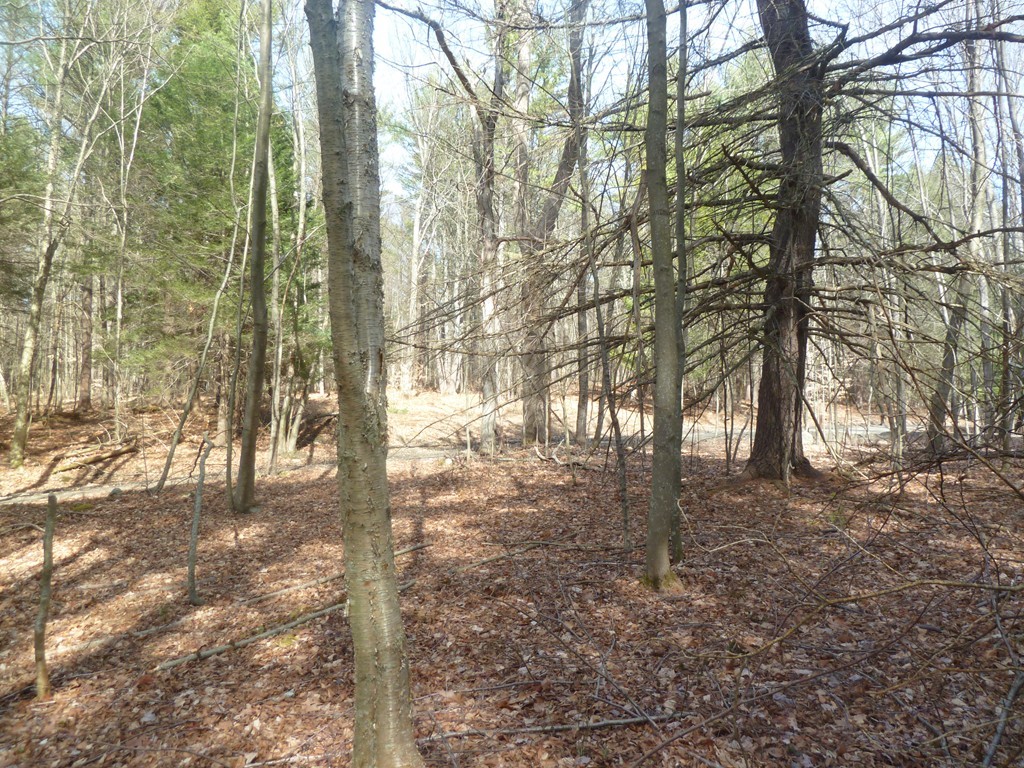 167 B W Road Bernardston, MA 01337 - Photo 6 of 9 Gallery Image 6