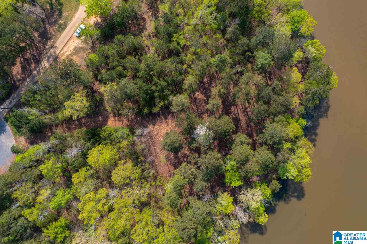 Stillwaters Trail Sylacauga, AL 35151 - Photo 15 of 30