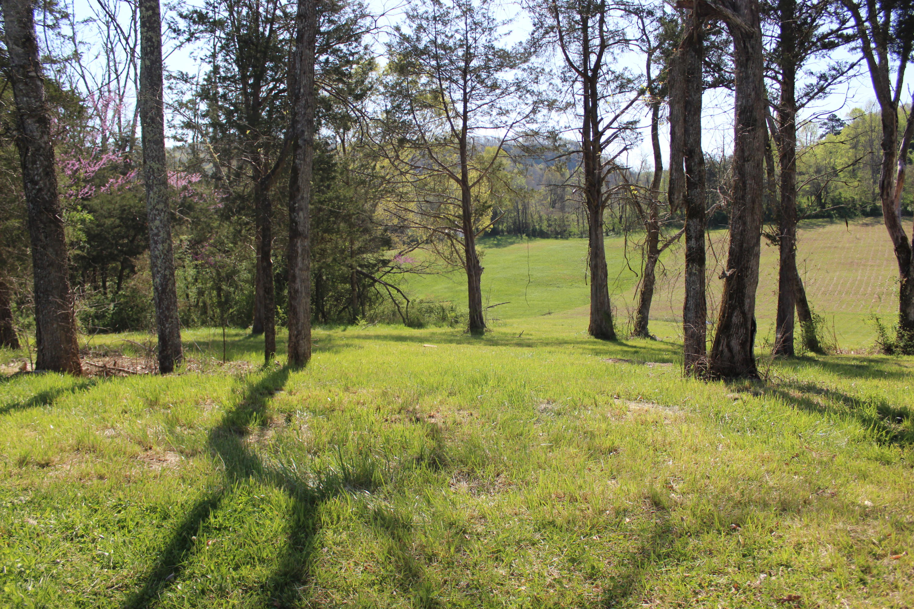 161 Hickory Valley Road Maynardville, TN 37807 - Photo 30 of 40 IMG_3417