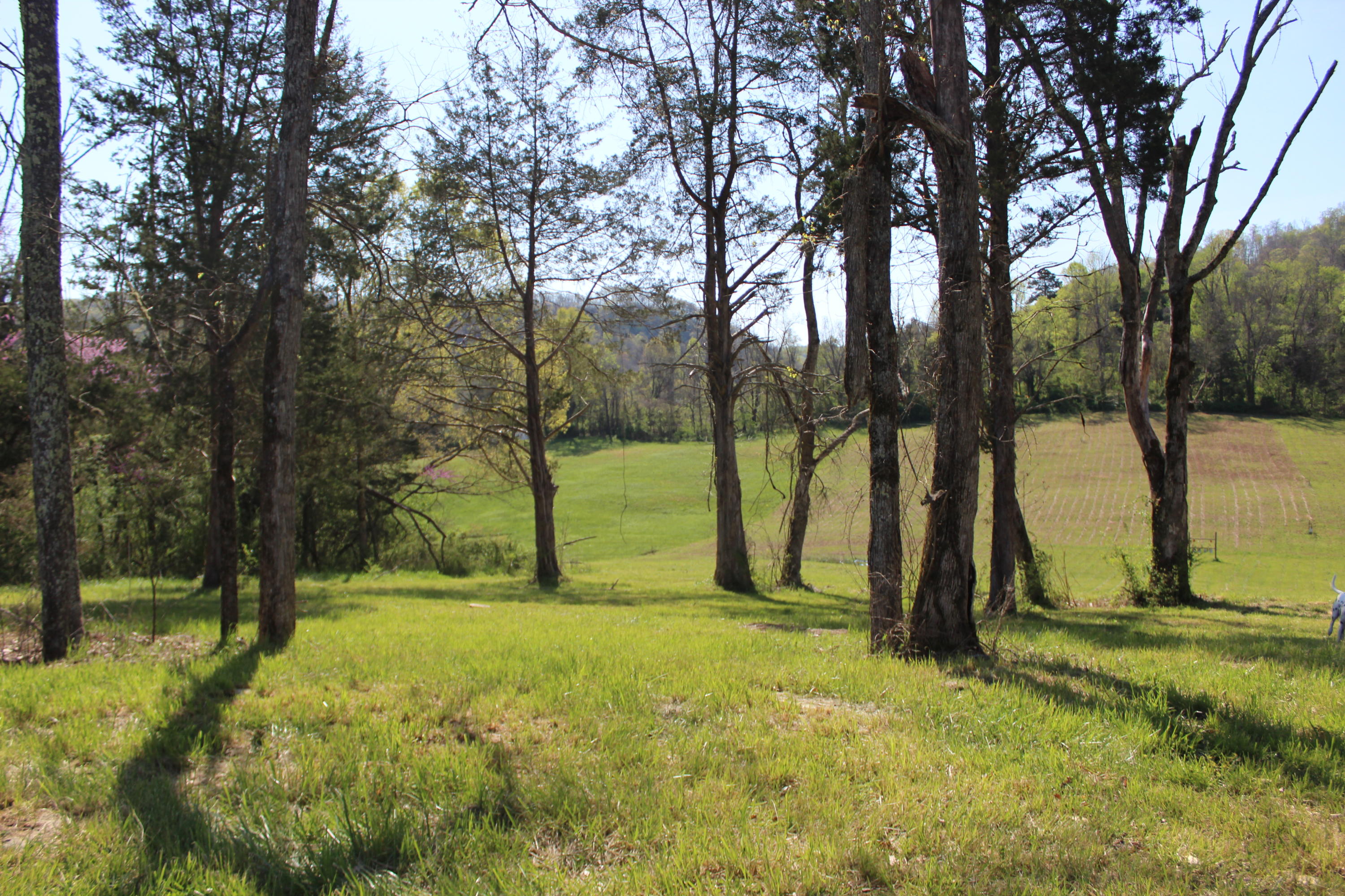161 Hickory Valley Road Maynardville, TN 37807 - Photo 31 of 40 IMG_3418