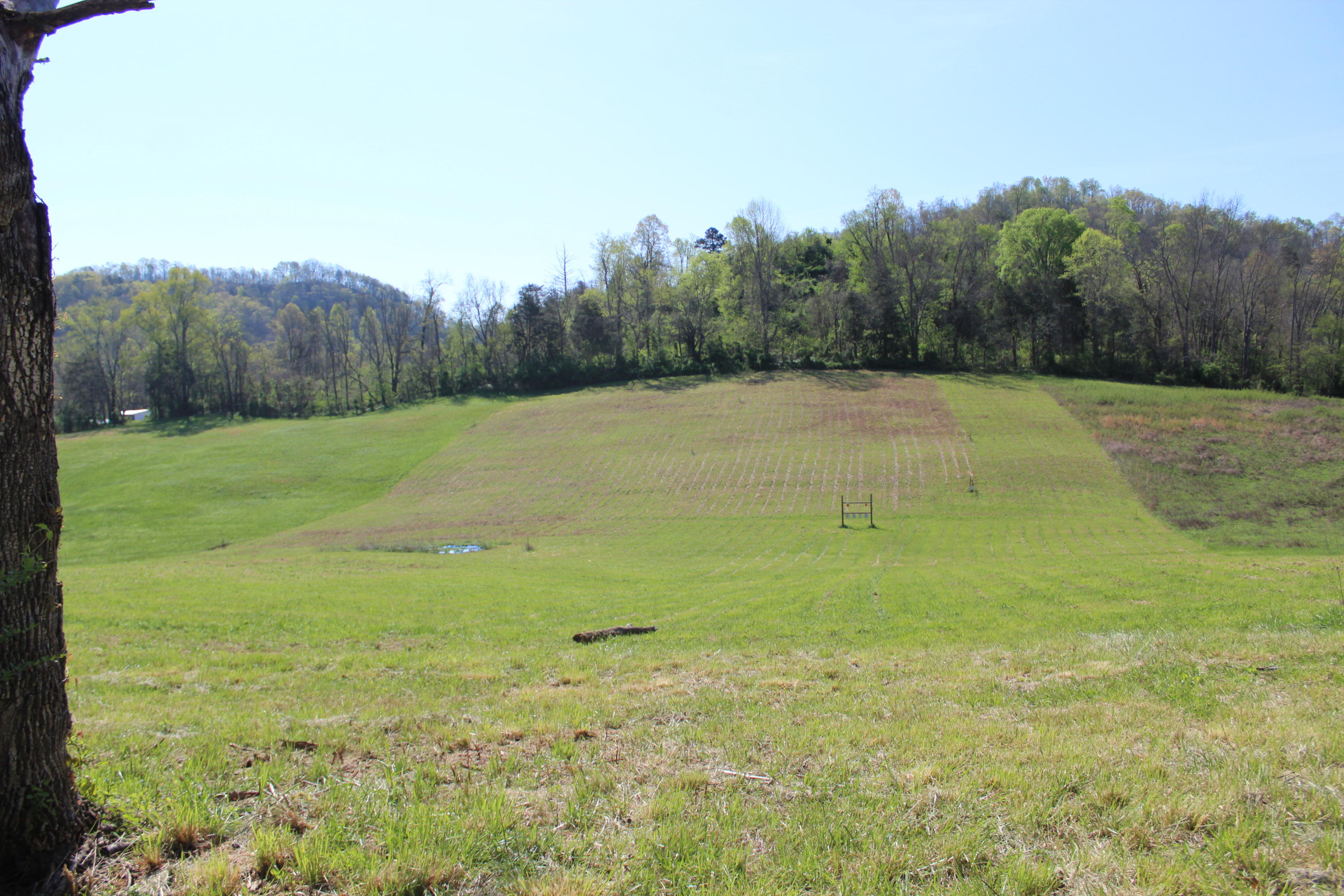 161 Hickory Valley Road Maynardville, TN 37807 - Photo 35 of 40 IMG_3422