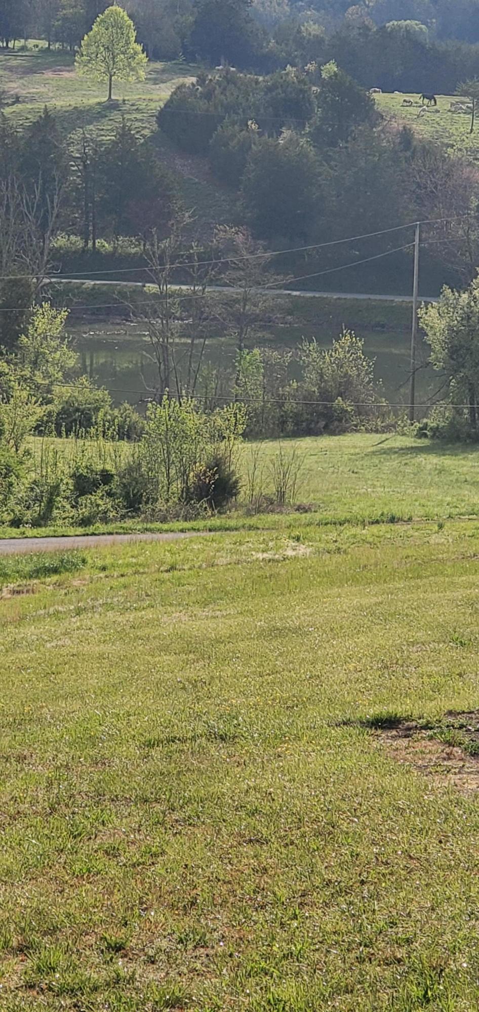 161 Hickory Valley Road Maynardville, TN 37807 - Photo 39 of 40 20200421_090052