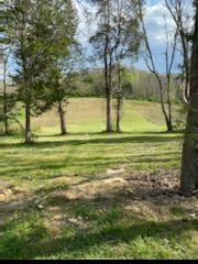 161 Hickory Valley Road Maynardville, TN 37807 - Photo 5 of 40 IMG_5141