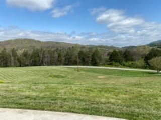 161 Hickory Valley Road Maynardville, TN 37807 - Photo 6 of 40 IMG_5242
