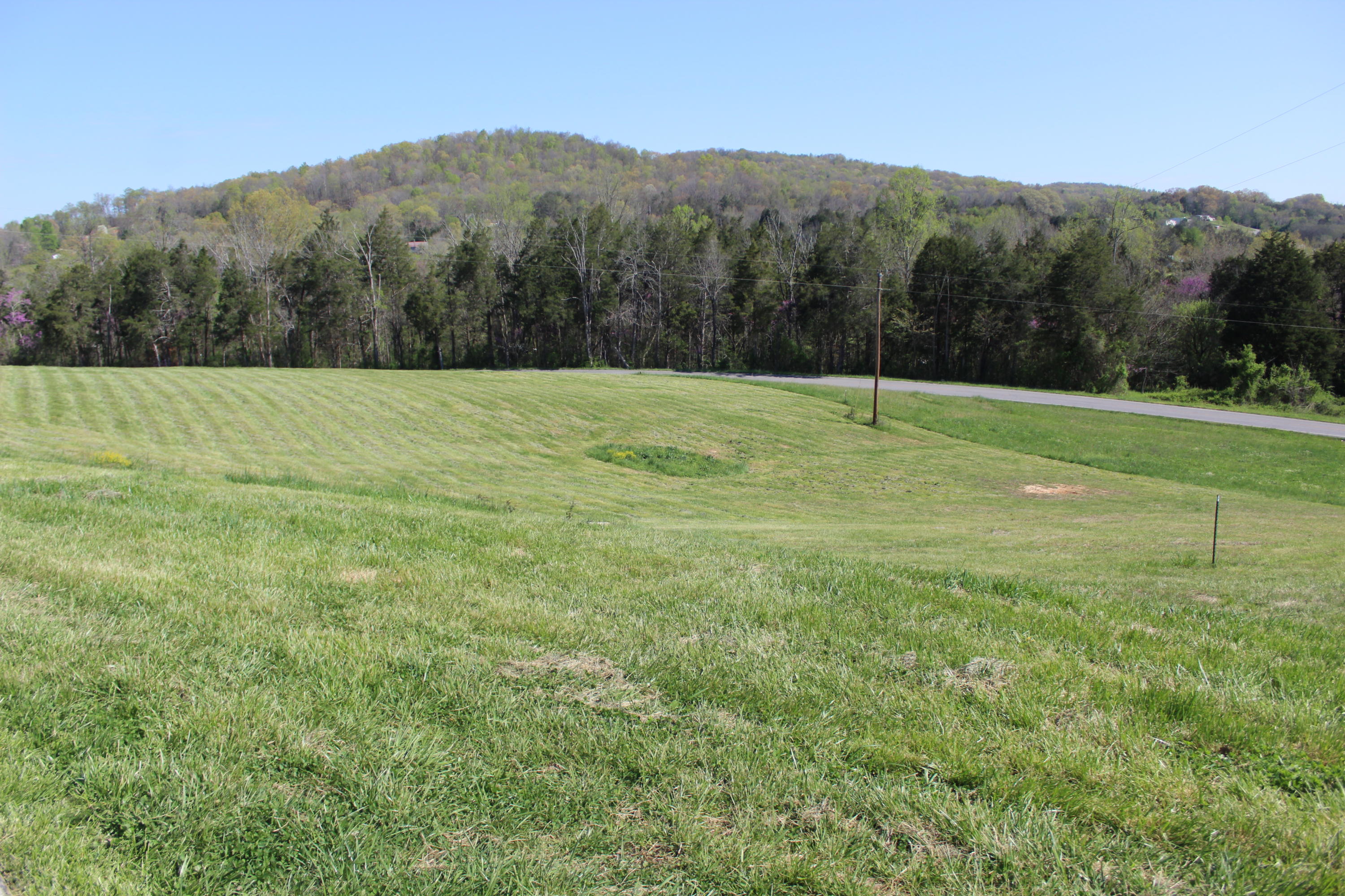 161 Hickory Valley Road Maynardville, TN 37807 - Photo 9 of 40 IMG_3410