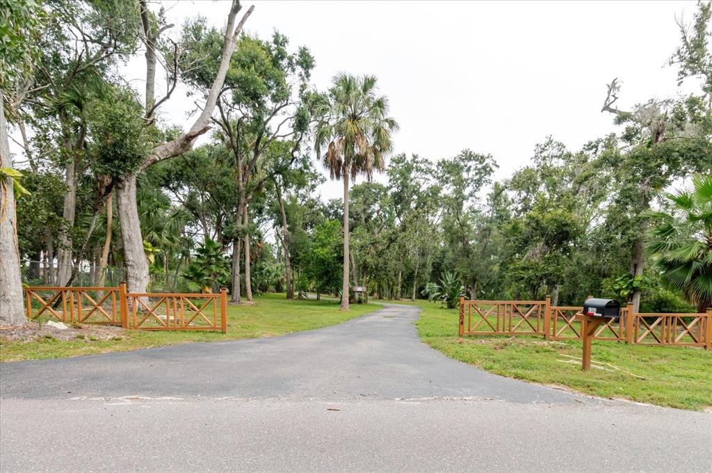 8304 Revels Road Riverview, FL 33569 - Photo 5 of 99 a view of a park with large trees