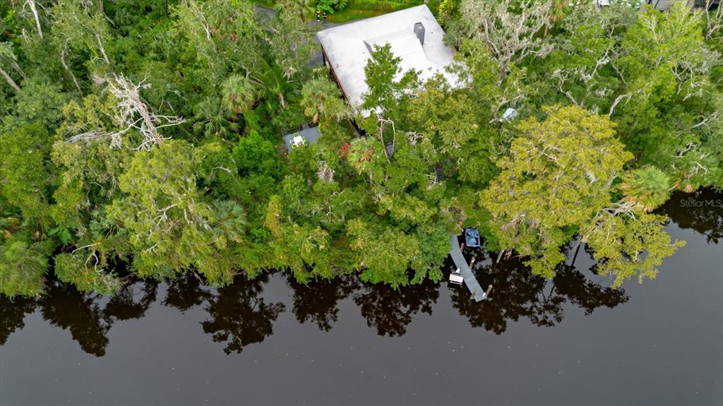 8304 Revels Road Riverview, FL 33569 - Photo 75 of 99 a view of a plant with a plant
