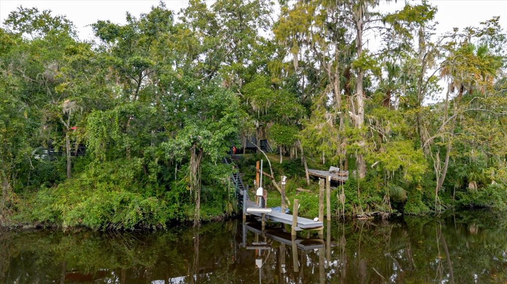 8304 Revels Road Riverview, FL 33569 - Photo 76 of 99