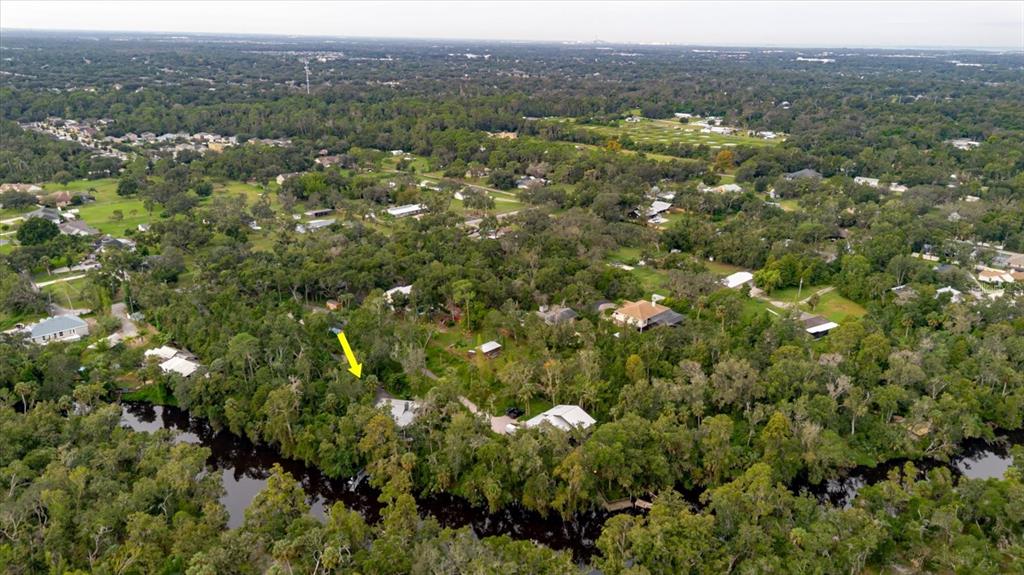 8304 Revels Road Riverview, FL 33569 - Photo 82 of 99 an aerial view of a houses with a lush green hillside