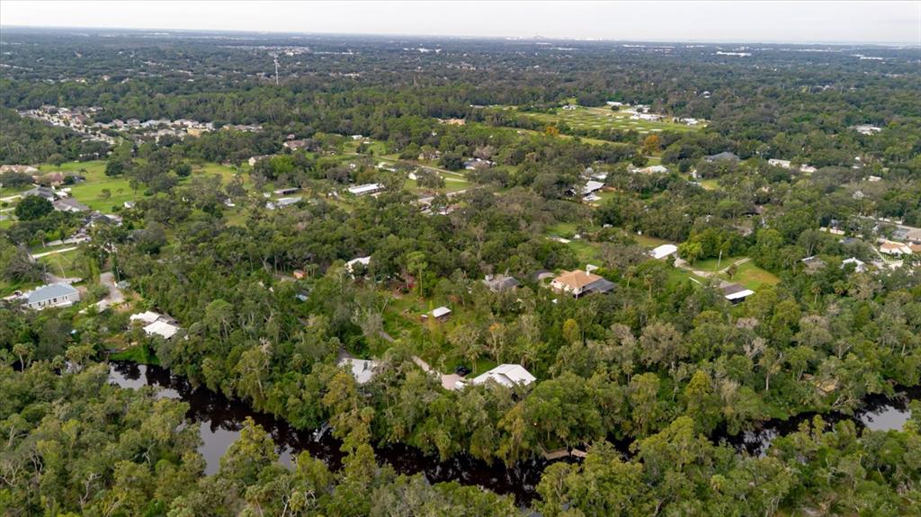 8304 Revels Road Riverview, FL 33569 - Photo 83 of 99 an aerial view of a houses with a lush green hillside