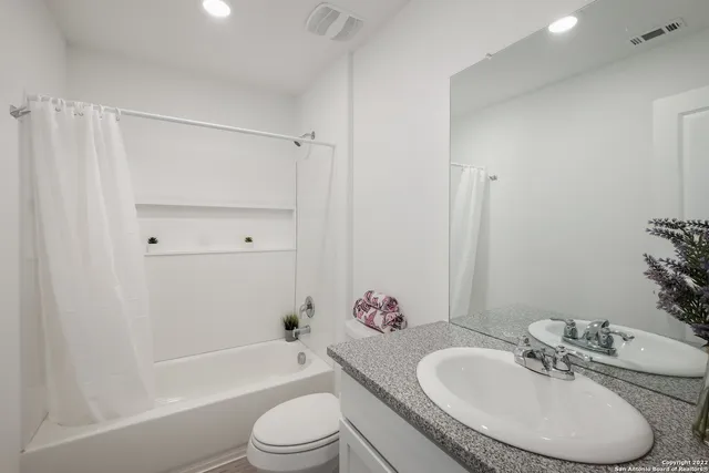 a view of a backyard with plants and a garden