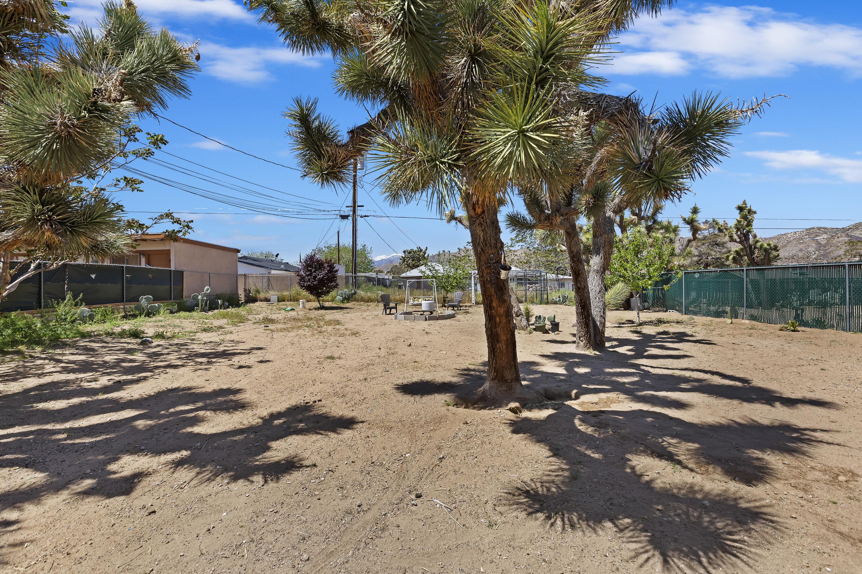 7482 Apache Trail Yucca Valley, CA 92284 - Photo 33 of 38 a view of a yard with a tree