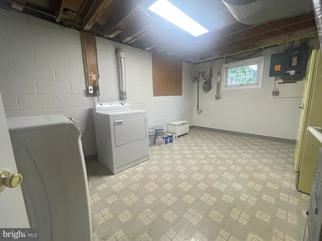 a view of a yard with plants and a large tree