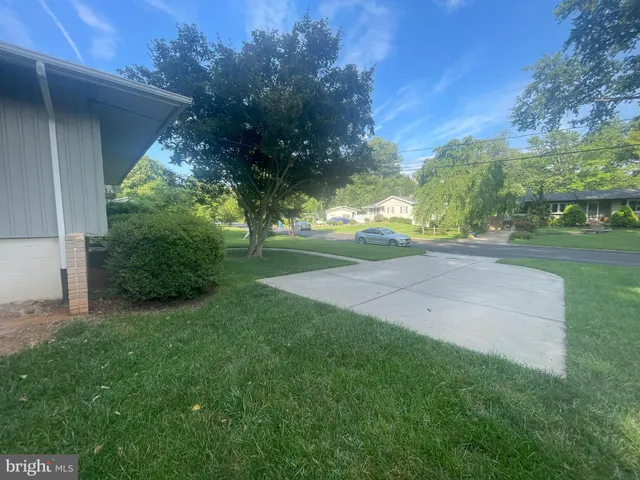 a view of a yard with potted plants and large trees