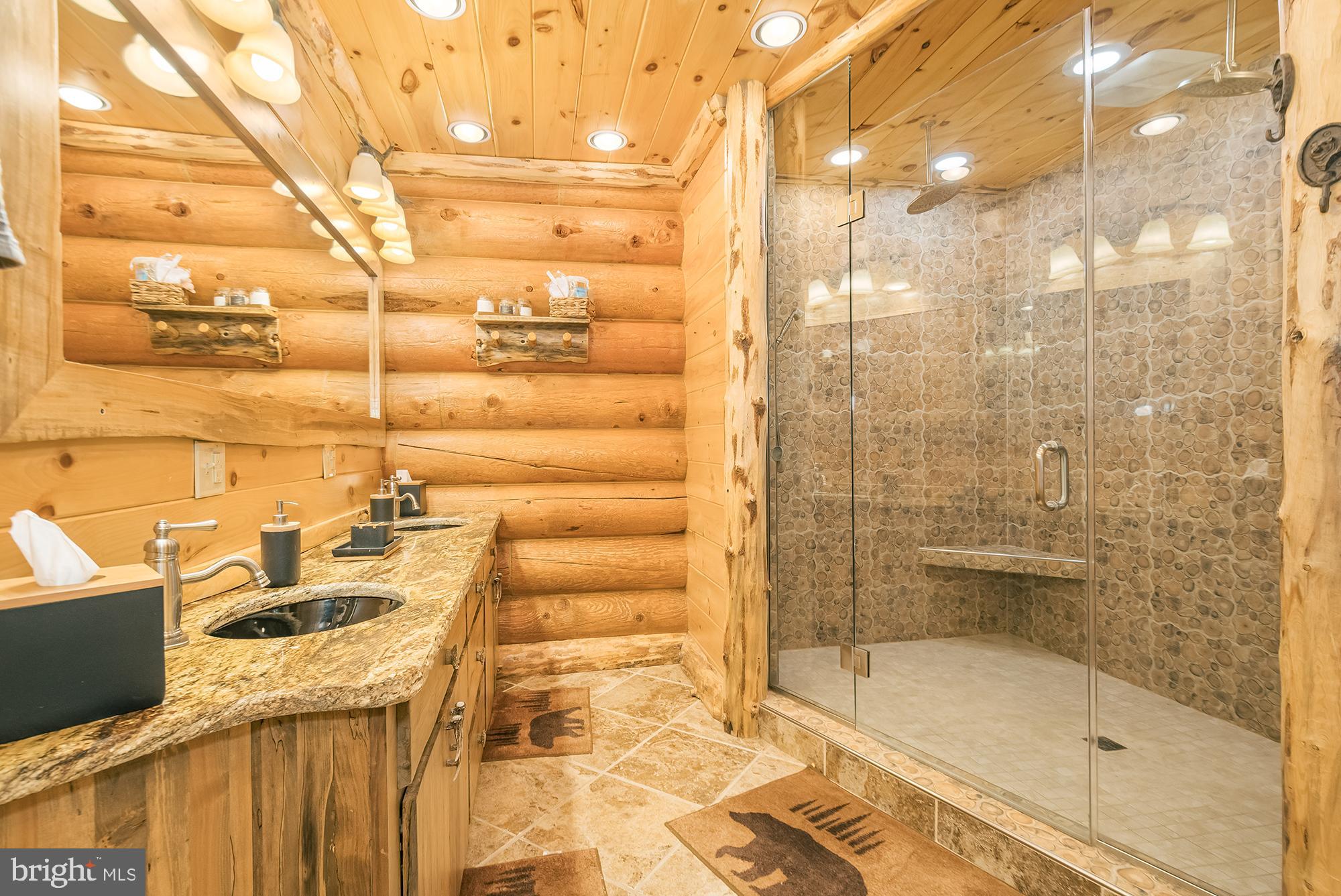 2725 Stockslager Road Oakland, MD 21550 - Photo 67 of 115