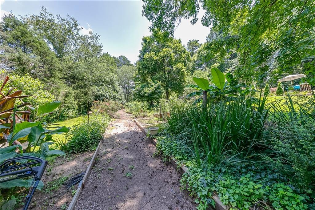 6180 Old Jefferson Road Athens, GA 30607 - Photo 83 of 100 a view of a pathway both side of yard