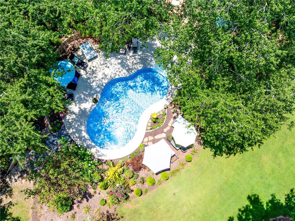 6180 Old Jefferson Road Athens, GA 30607 - Photo 94 of 100 a view of a plant in a garden