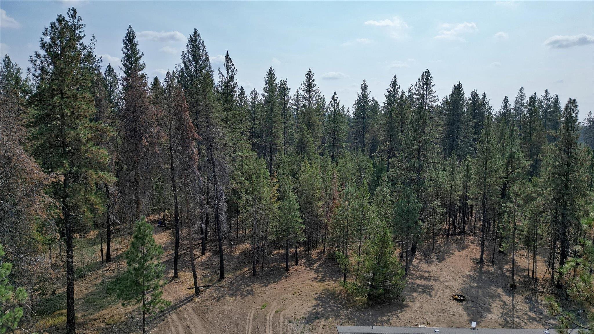 27904 North Hardesty Road Chattaroy, WA 99003 - Photo 41 of 49