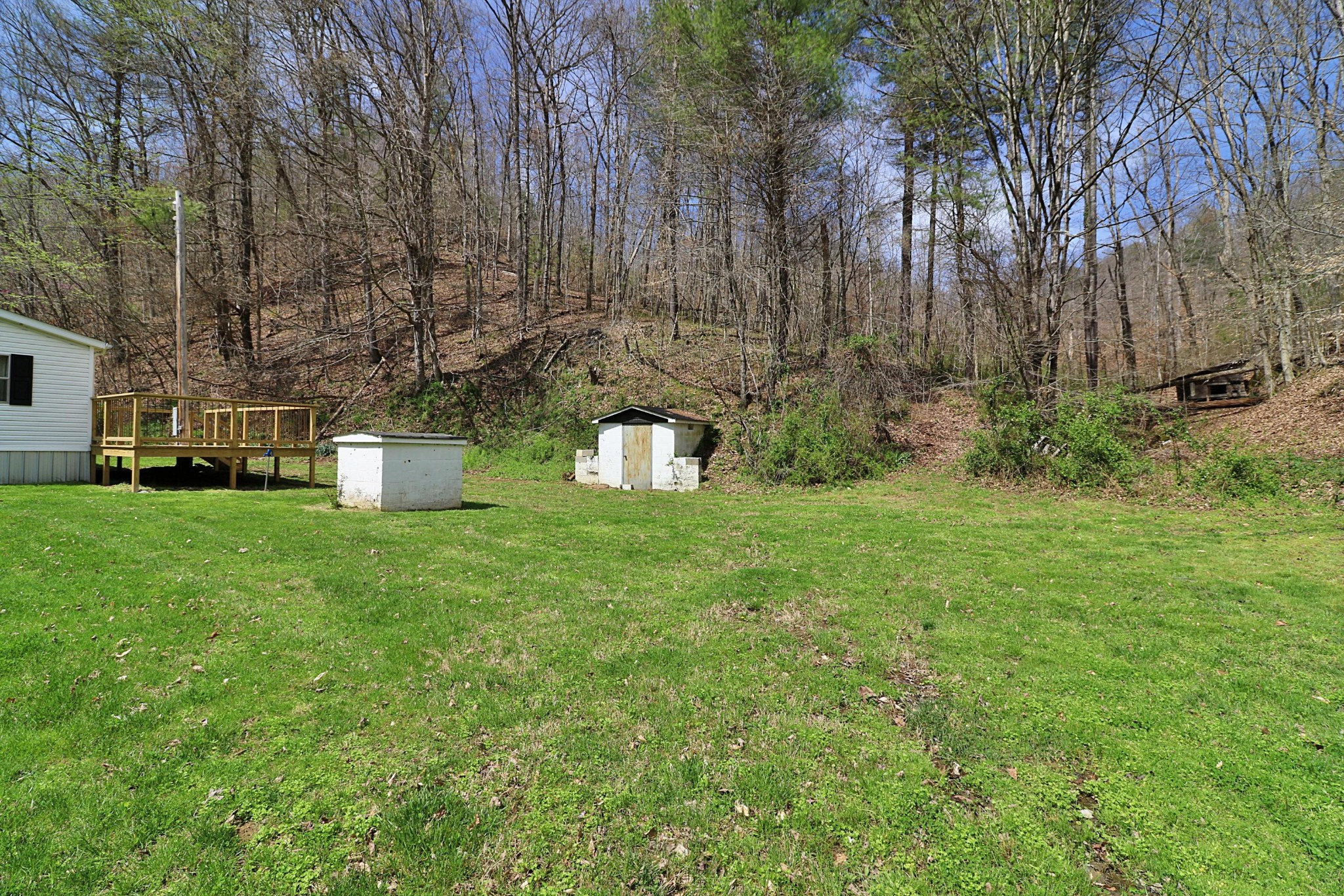 1239 Brimstone Road Robbins, TN 37852 - Photo 27 of 40 Gallery Image 27