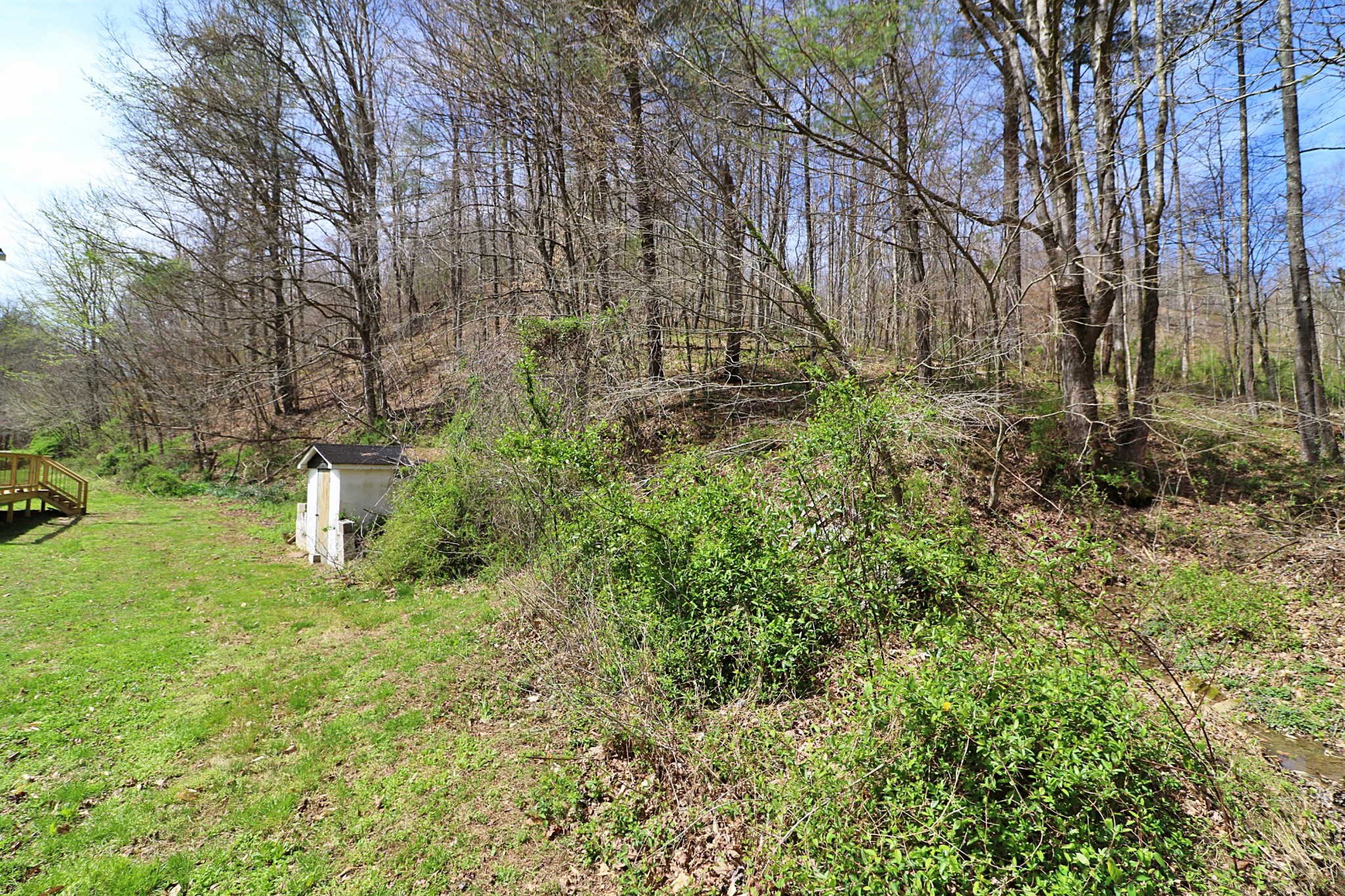 1239 Brimstone Road Robbins, TN 37852 - Photo 29 of 40 Gallery Image 29
