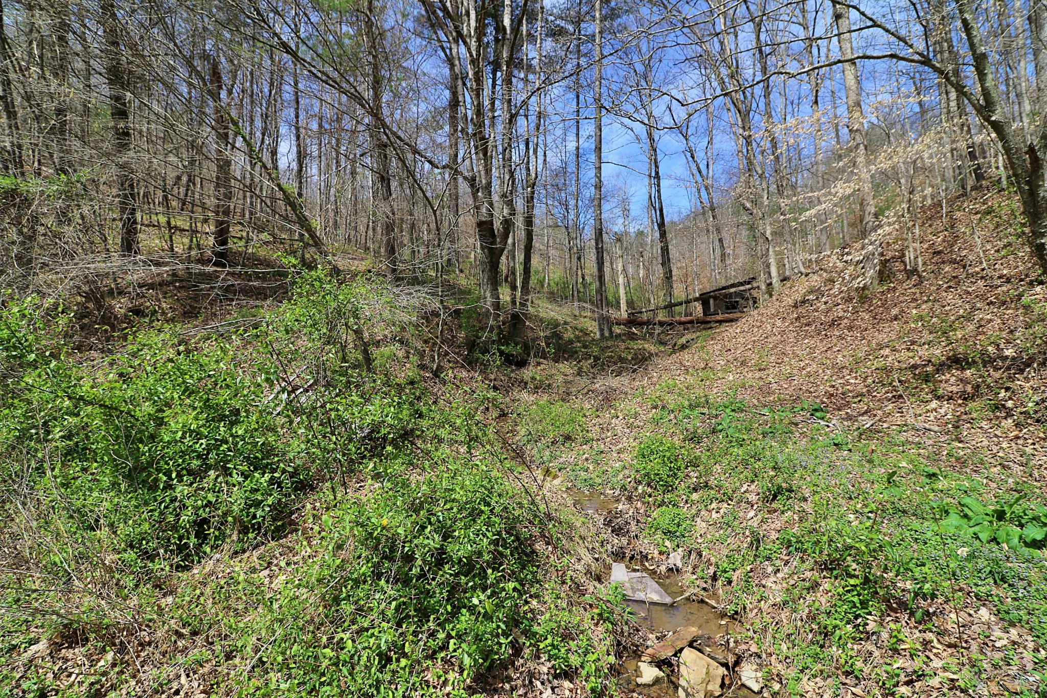 1239 Brimstone Road Robbins, TN 37852 - Photo 30 of 40 Gallery Image 30