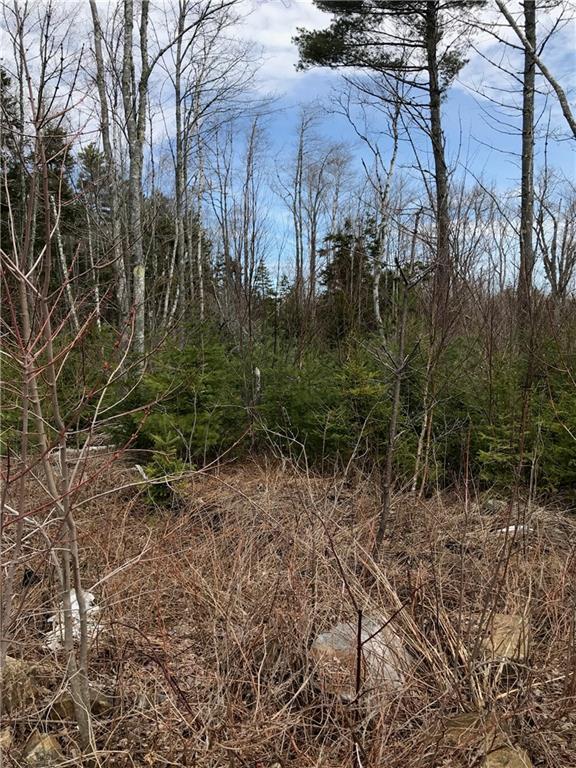 0 Autumn Marsh Road East Tenants Harbor, ME 04860 - Photo 1 of 12 Looking north